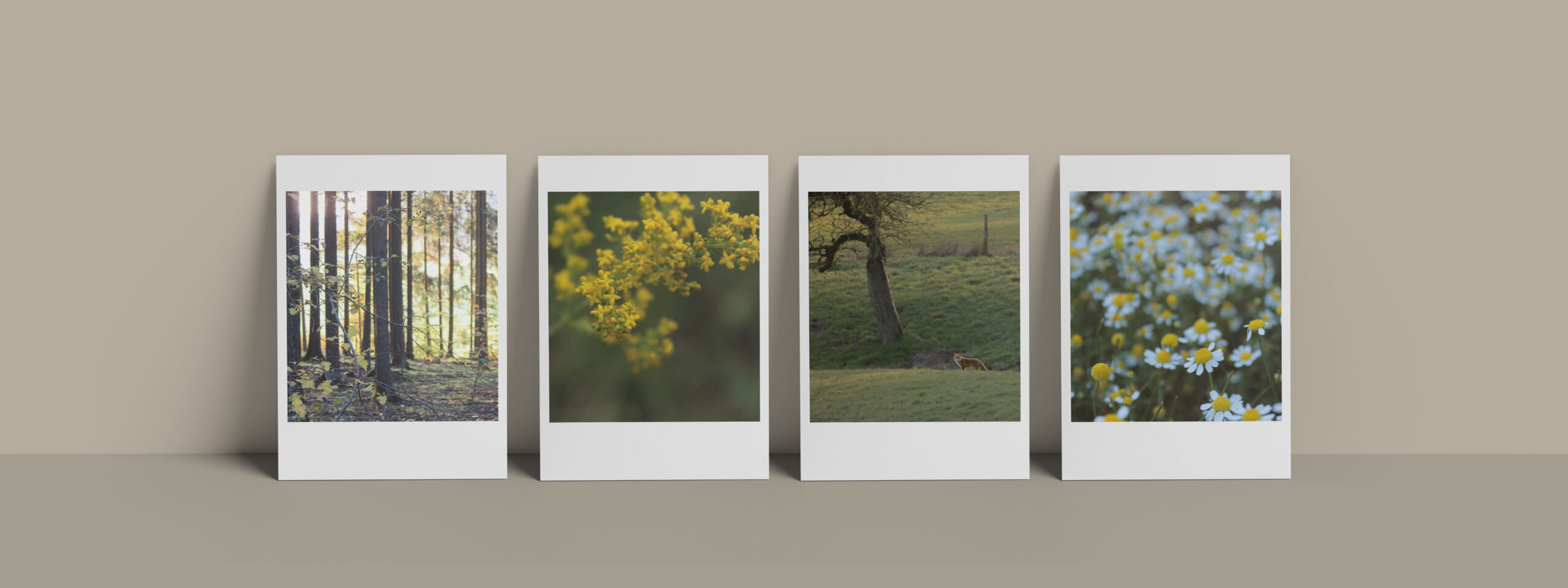 Fotografien aus der Natur als Art Print in sanften Gelbtönen