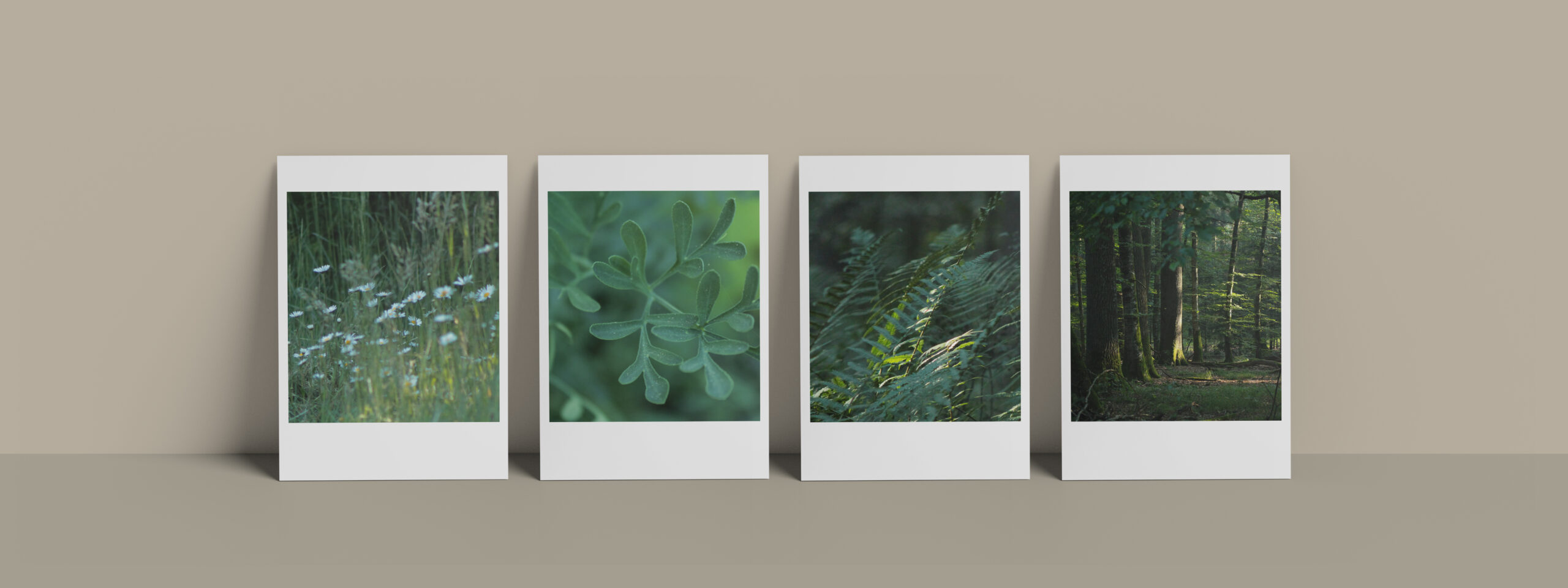Art Print Postkarten aus der Natur in sanften Grüntönen