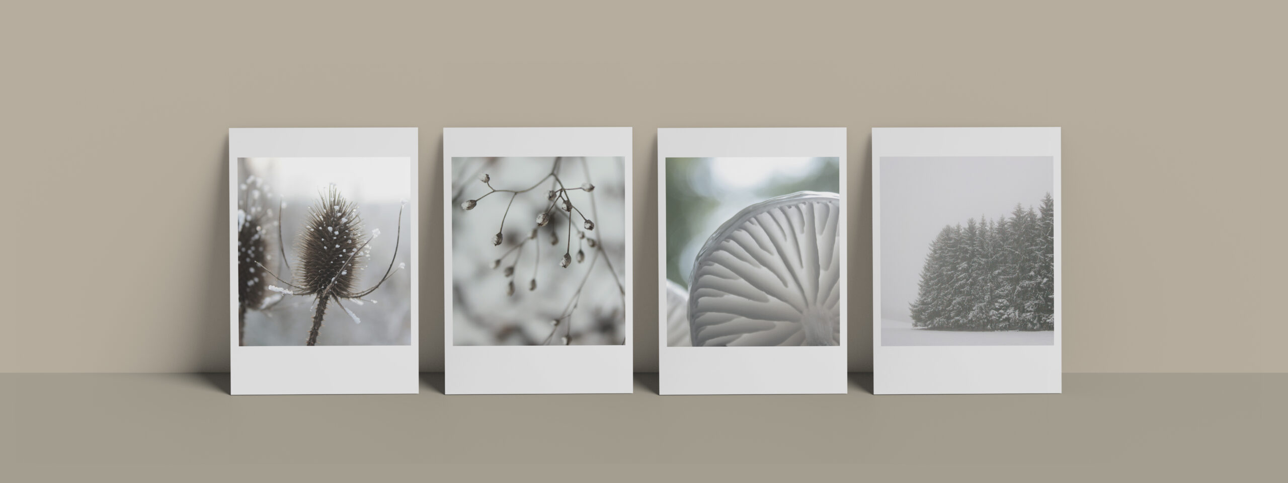 Fotografien im Winter mit Schnee als Art Print
